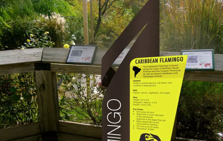 規劃設計作品案例展示