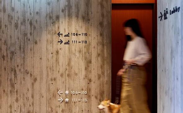 規(guī)劃設計作品案例展示