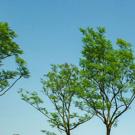 廈門網(wǎng)站設(shè)計-深圳廈門網(wǎng)站標(biāo)識設(shè)計