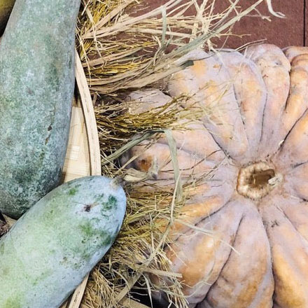 圖書館導(dǎo)視標識設(shè)計