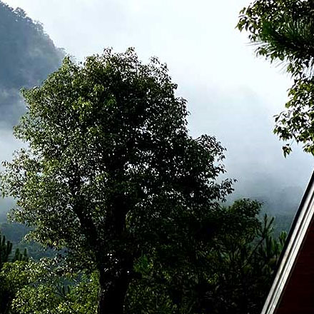 河源景觀<a href=