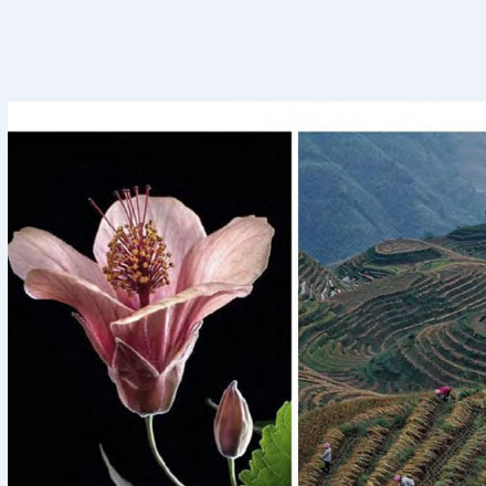 安全警示標(biāo)牌-危險(xiǎn)廢物標(biāo)牌